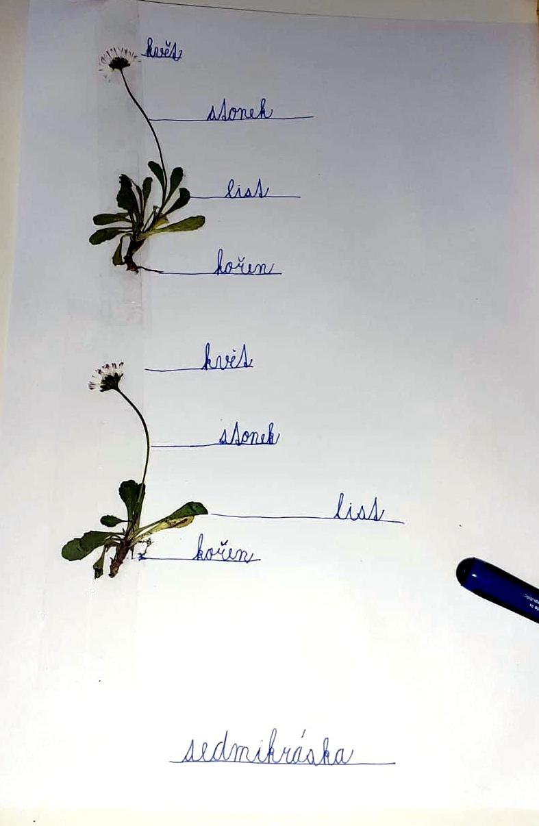 Geohrátky ve 3. třídě 10. 5. - 12