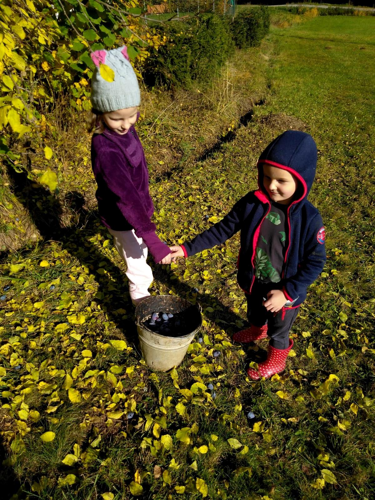 31. 10. Procvičování v 1. třídě - 4