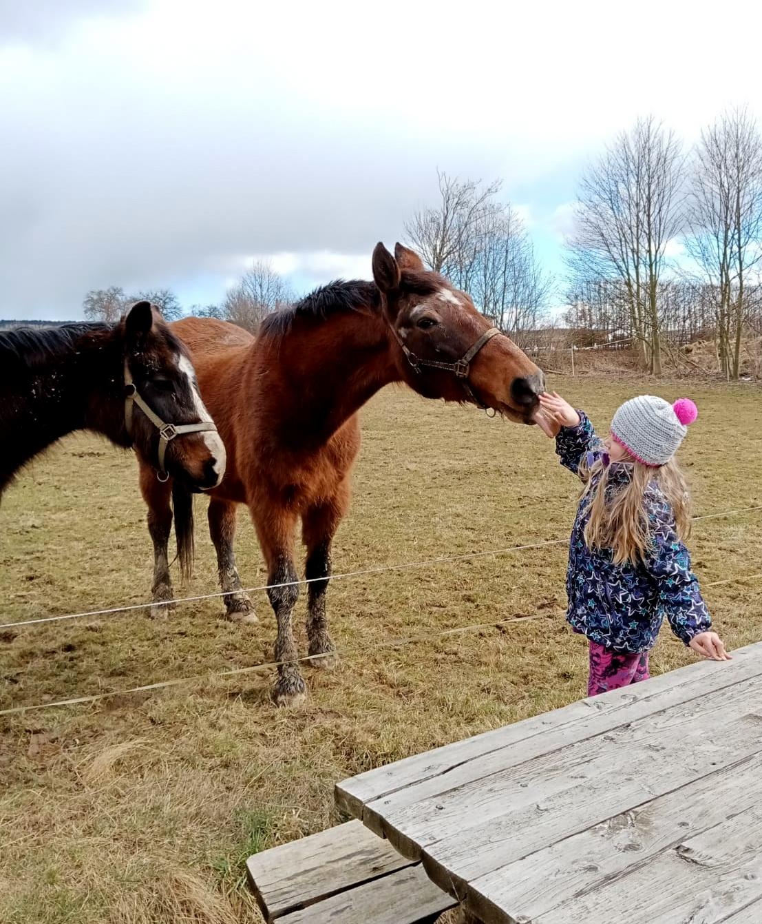 21. 3. Distanční výuka u prvňáčků - 9