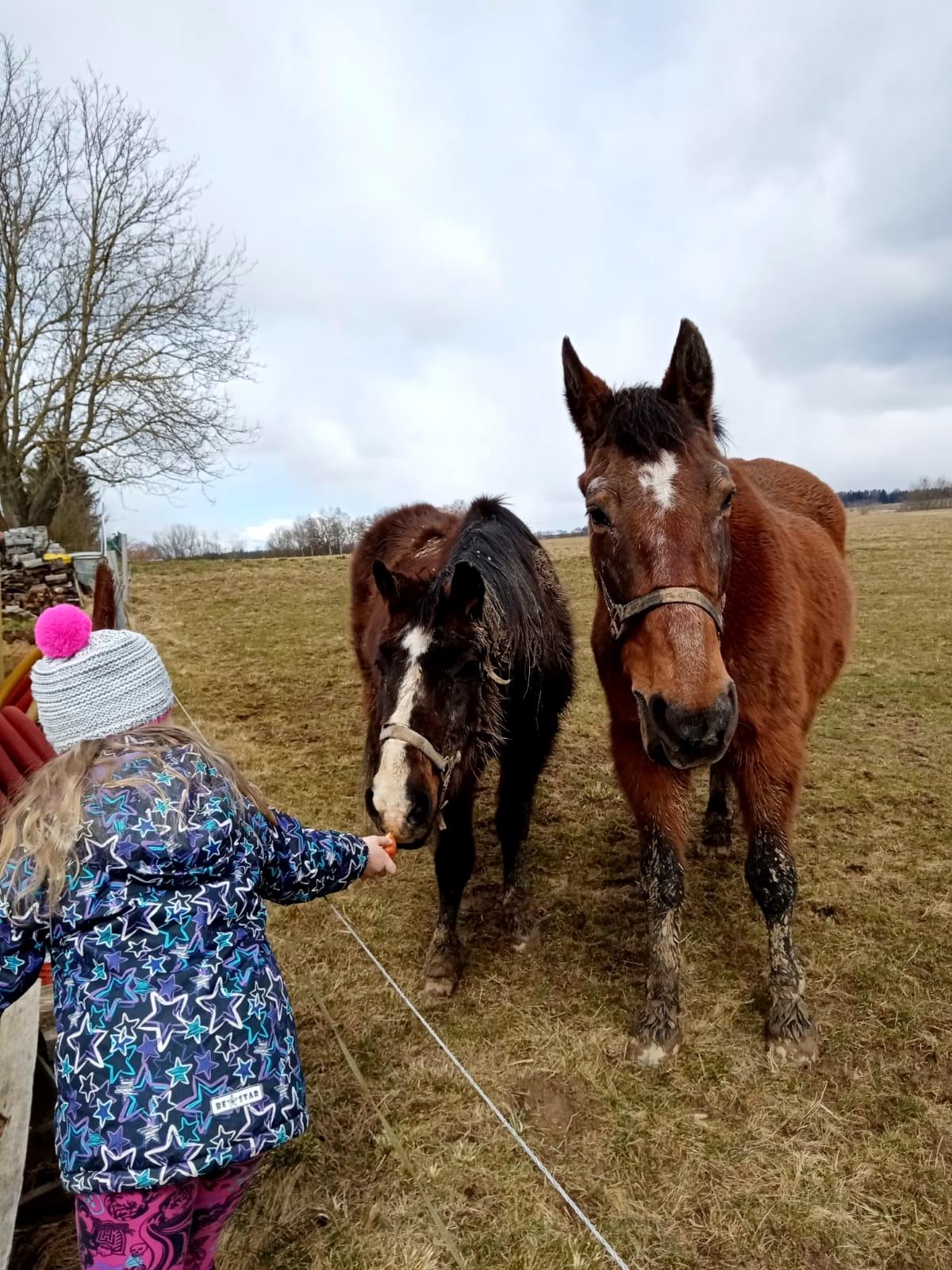 21. 3. Distanční výuka u prvňáčků - 10