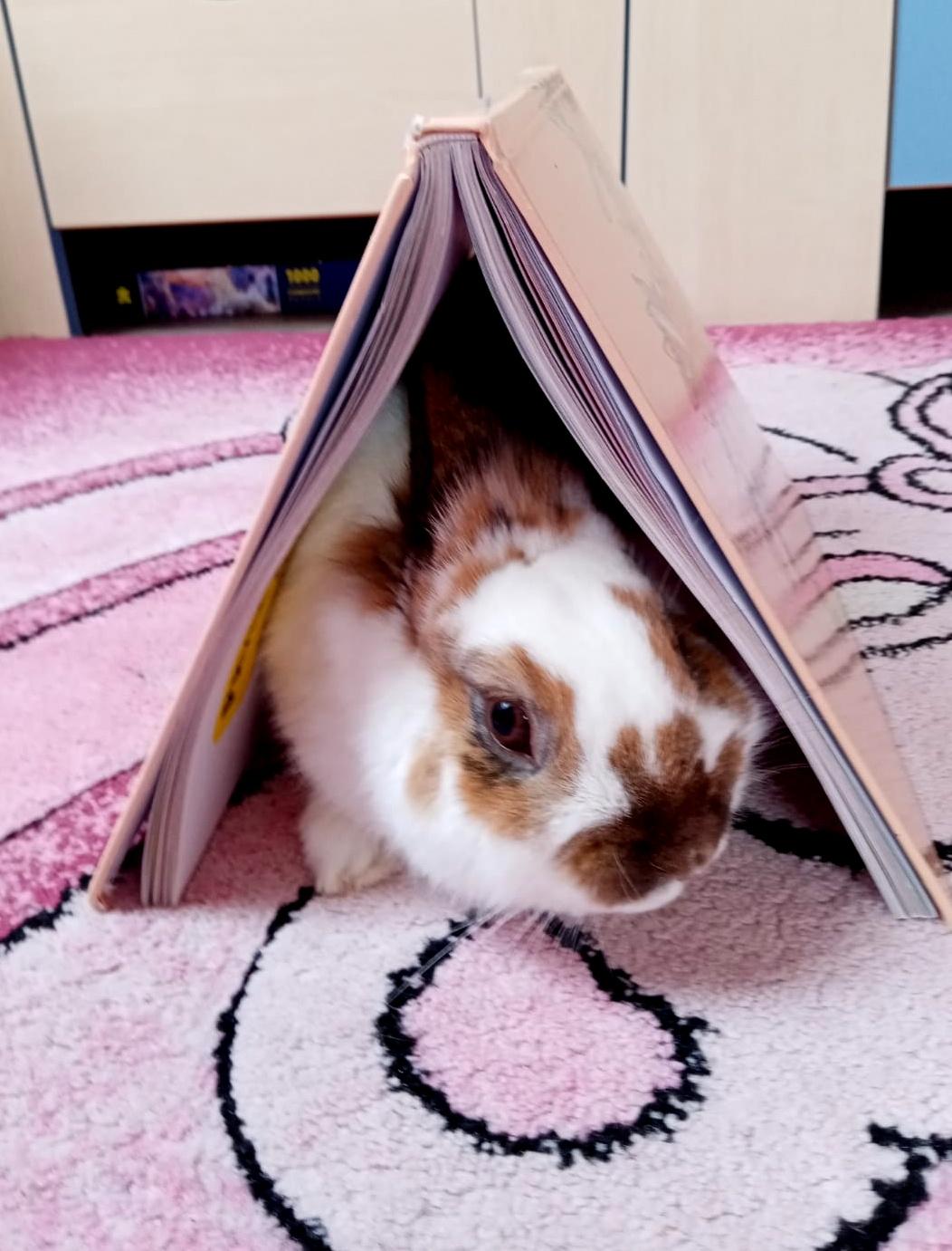 21. 3. Distanční výuka u prvňáčků - 11