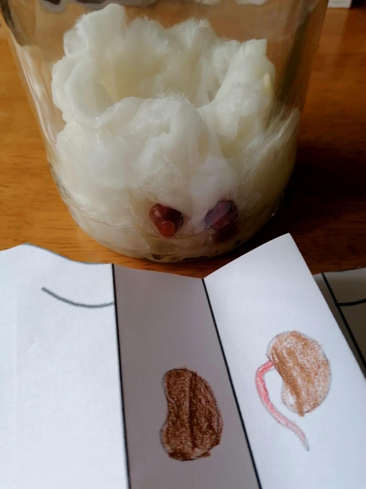 28. 3. Distanční výuka u prvňáčků - 15