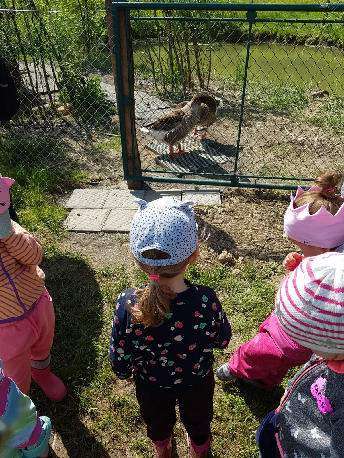 Sláva, nazdar výletu:-) (Babiččin statek - Líšnice) I. část - 7