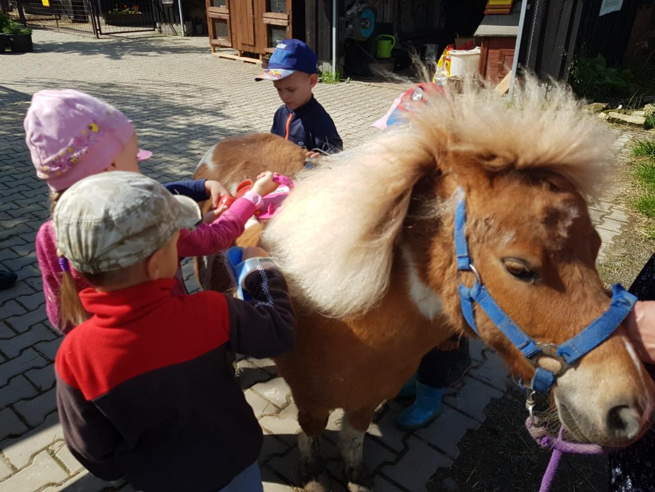 Sláva, nazdar výletu:-) (Babiččin statek - Líšnice) I. část - 13