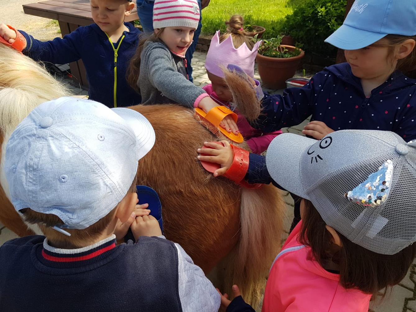 Sláva, nazdar výletu:-) (Babiččin statek - Líšnice) I. část - 19