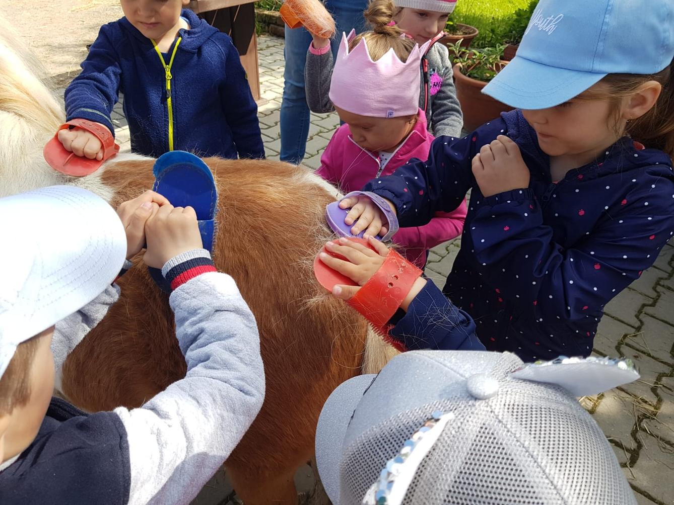 Sláva, nazdar výletu:-) (Babiččin statek - Líšnice) I. část - 20