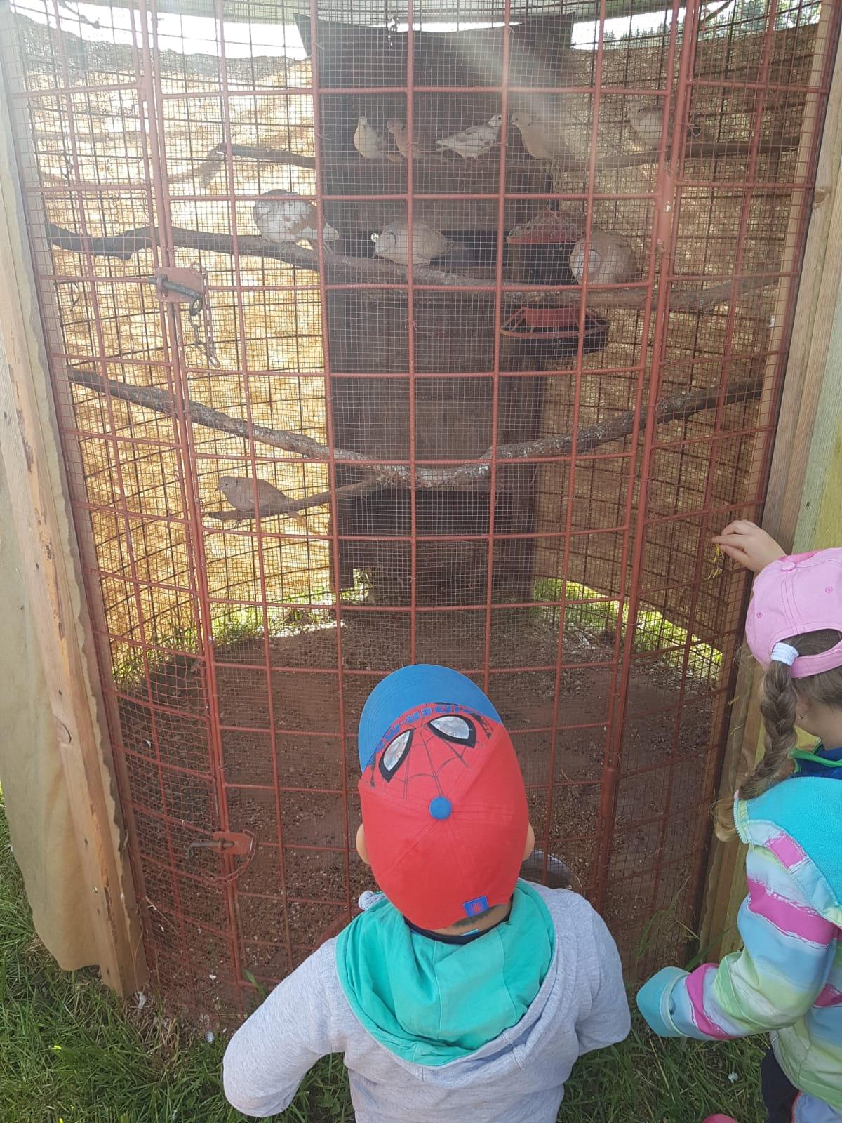 Sláva, nazdar výletu:-) (Babiččin statek - Líšnice) I. část - 32