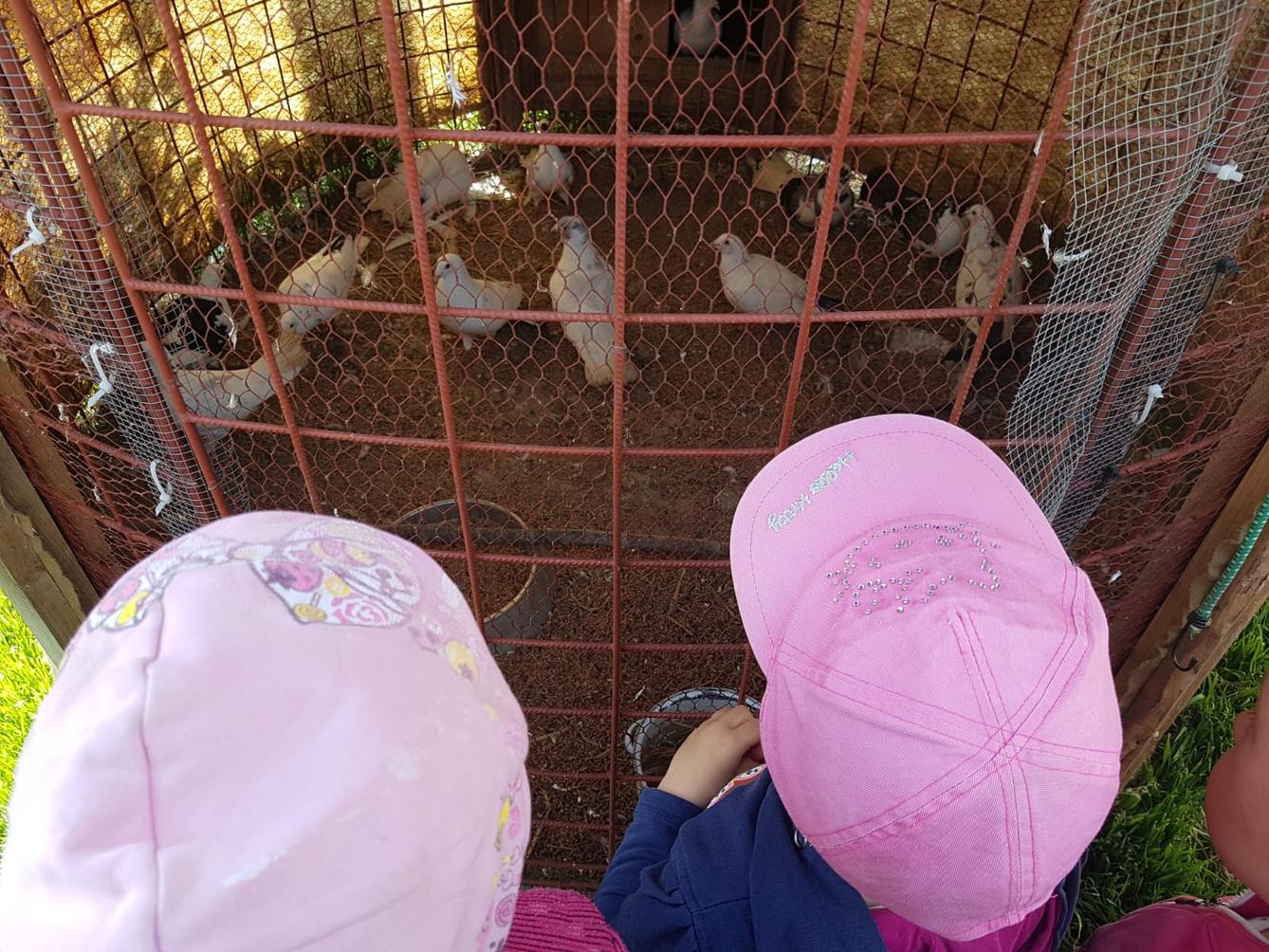 Sláva, nazdar výletu:-) (Babiččin statek - Líšnice) I. část - 33