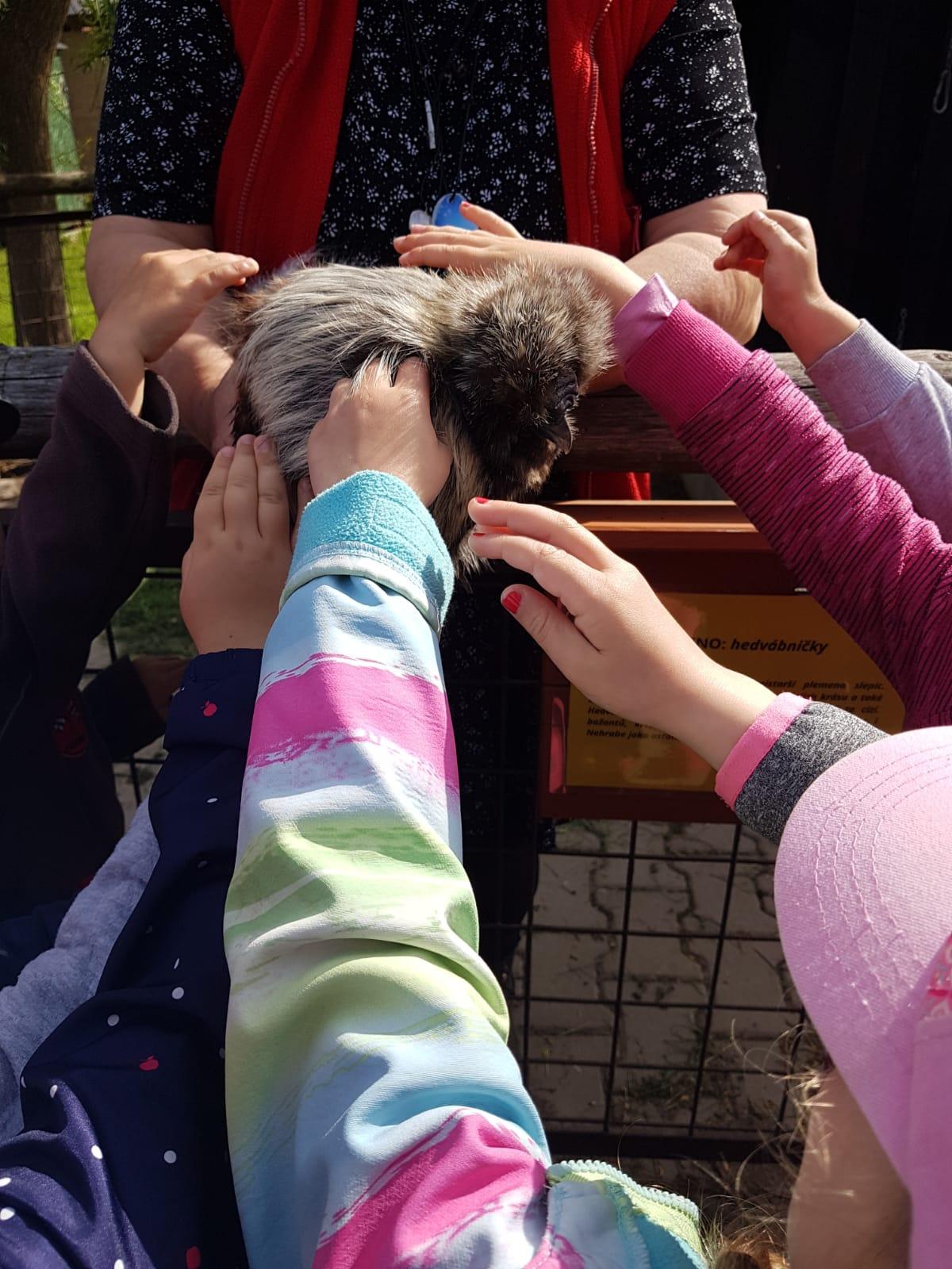 Sláva, nazdar výletu:-) (Babiččin statek - Líšnice) I. část - 37