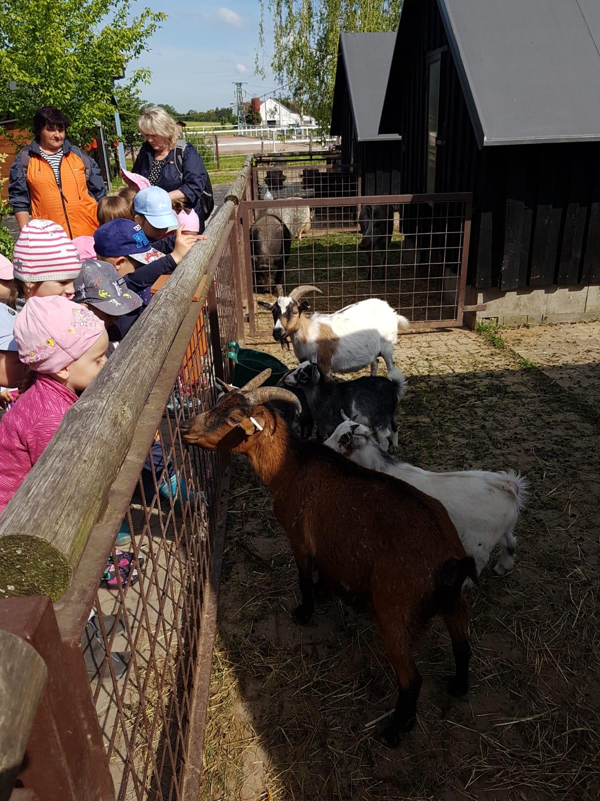 Sláva, nazdar výletu:-) (Babiččin statek - Líšnice) I. část - 39