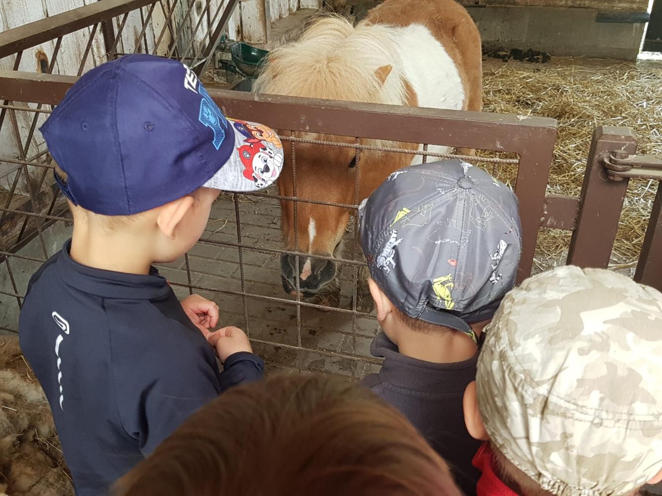 Sláva, nazdar výletu:-) (Babiččin statek - Líšnice) I. část - 41