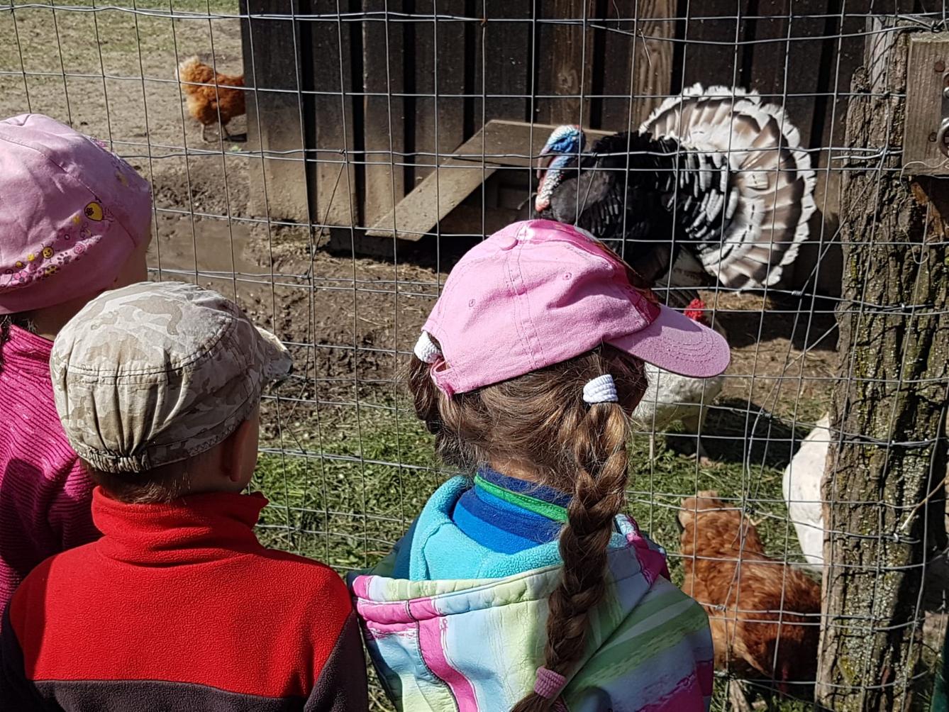 Sláva, nazdar výletu:-) (Babiččin statek - Líšnice) I. část - 43