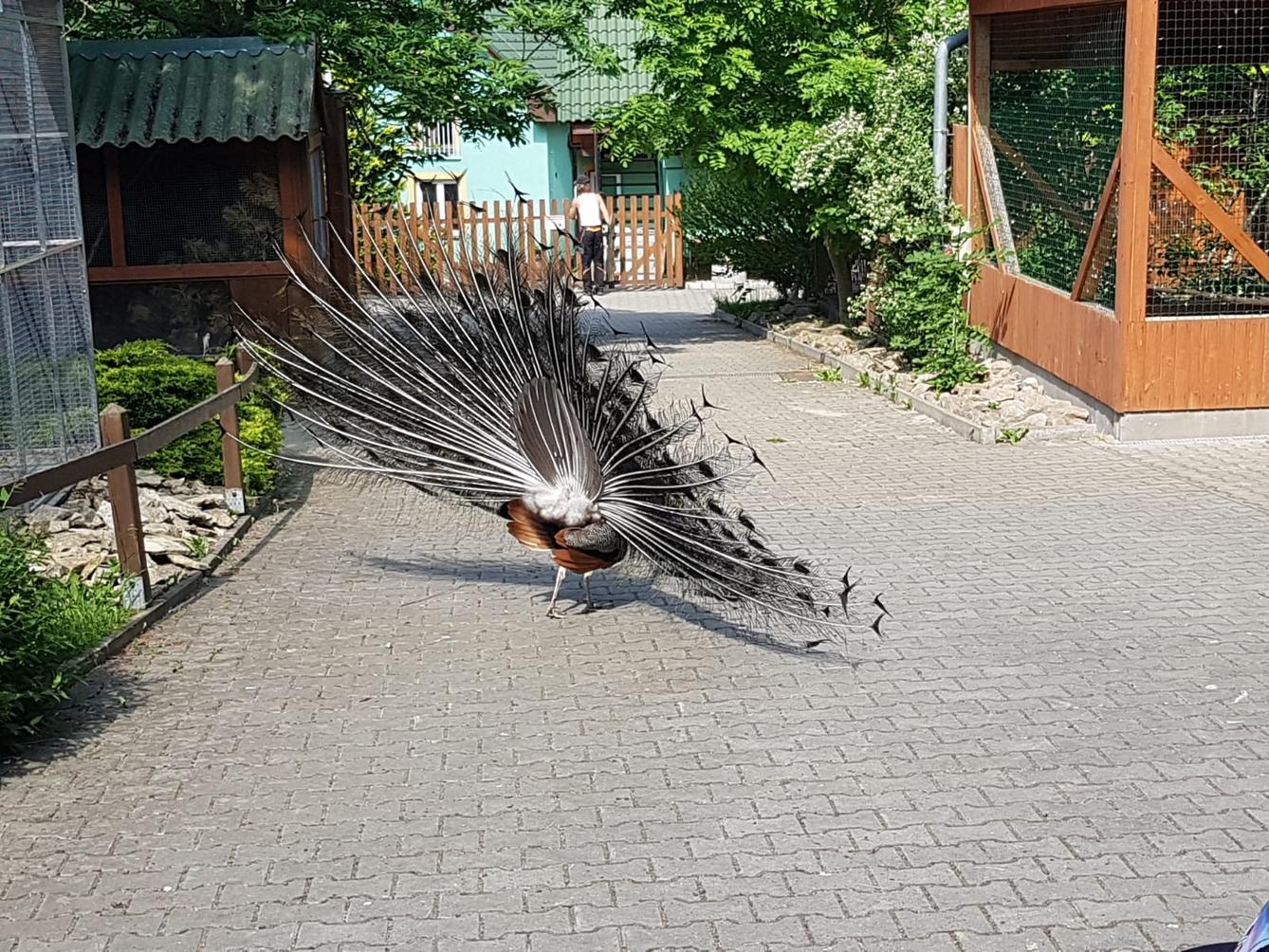 Sláva, nazdar výletu!!!!!! "Záchranná stanice Pasíčka" - 3