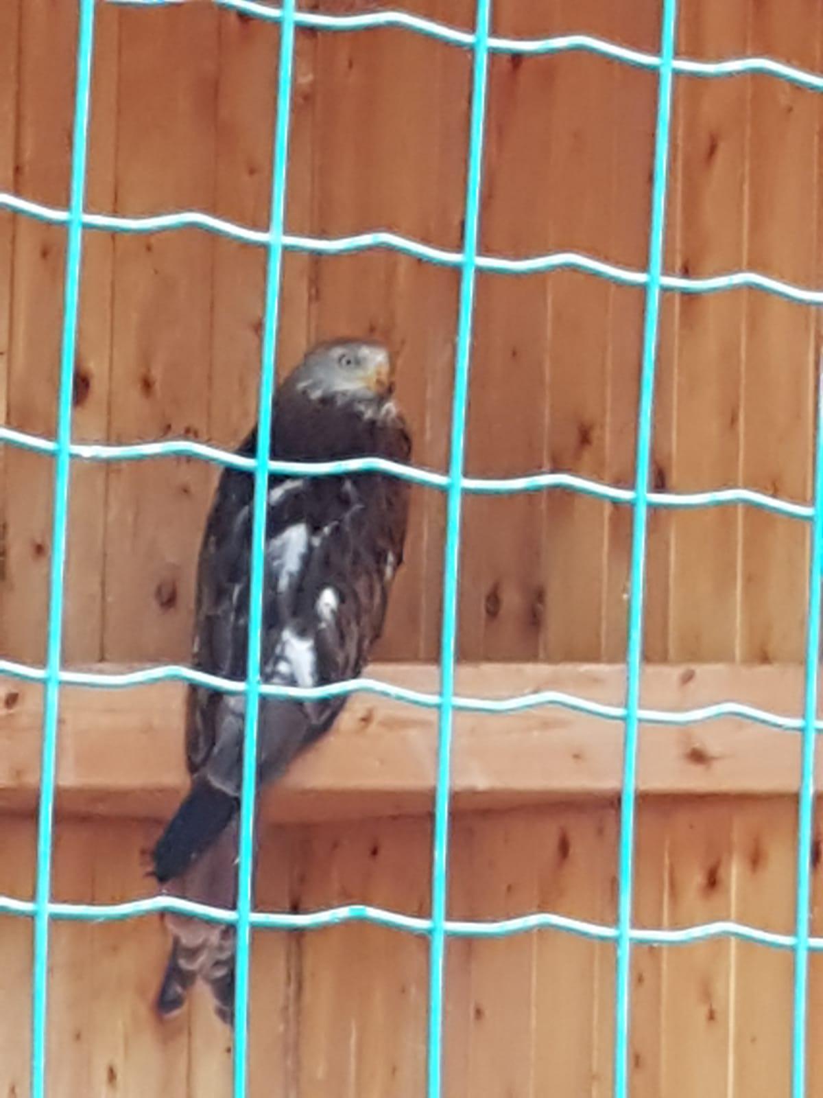 Sláva, nazdar výletu!!!!!! "Záchranná stanice Pasíčka" - 7