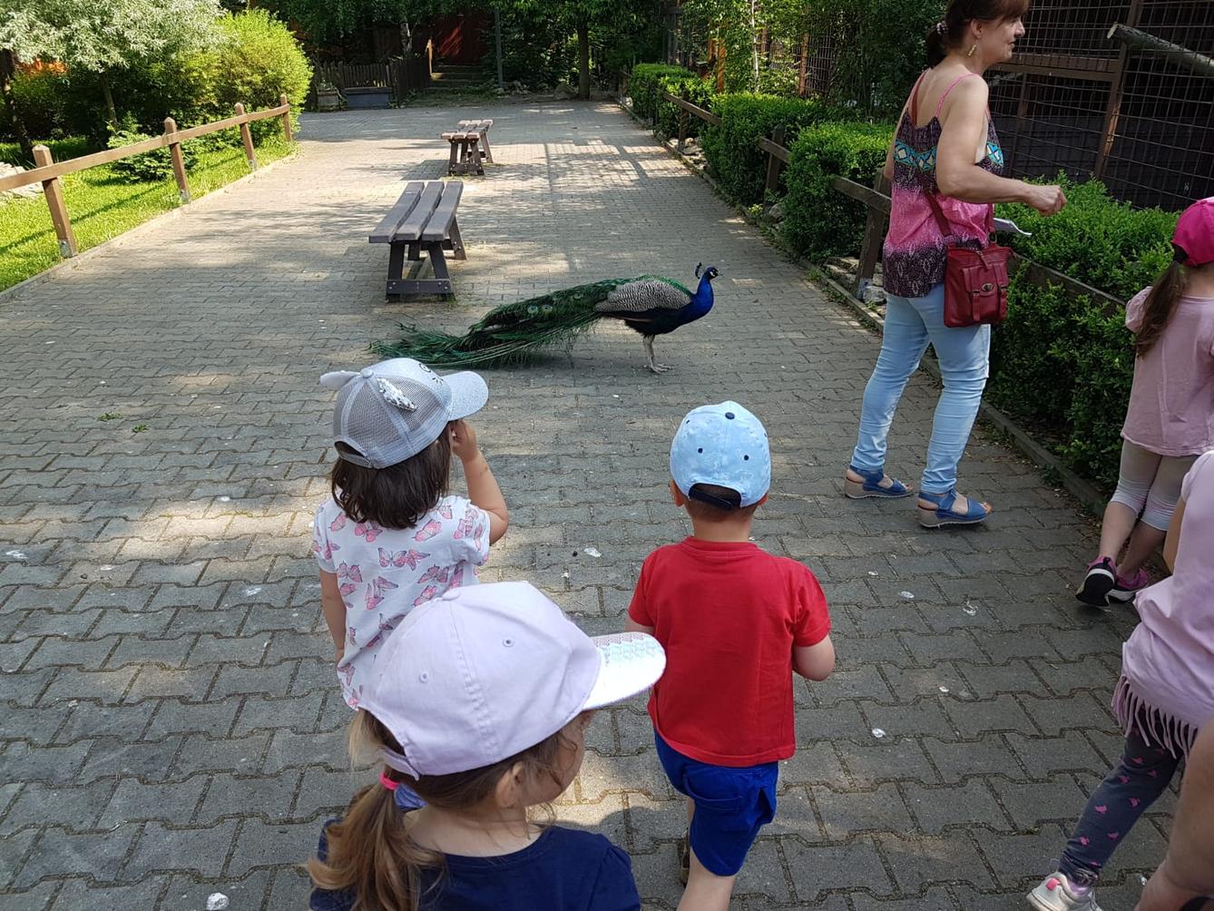 Sláva, nazdar výletu!!!!!! "Záchranná stanice Pasíčka" - 10