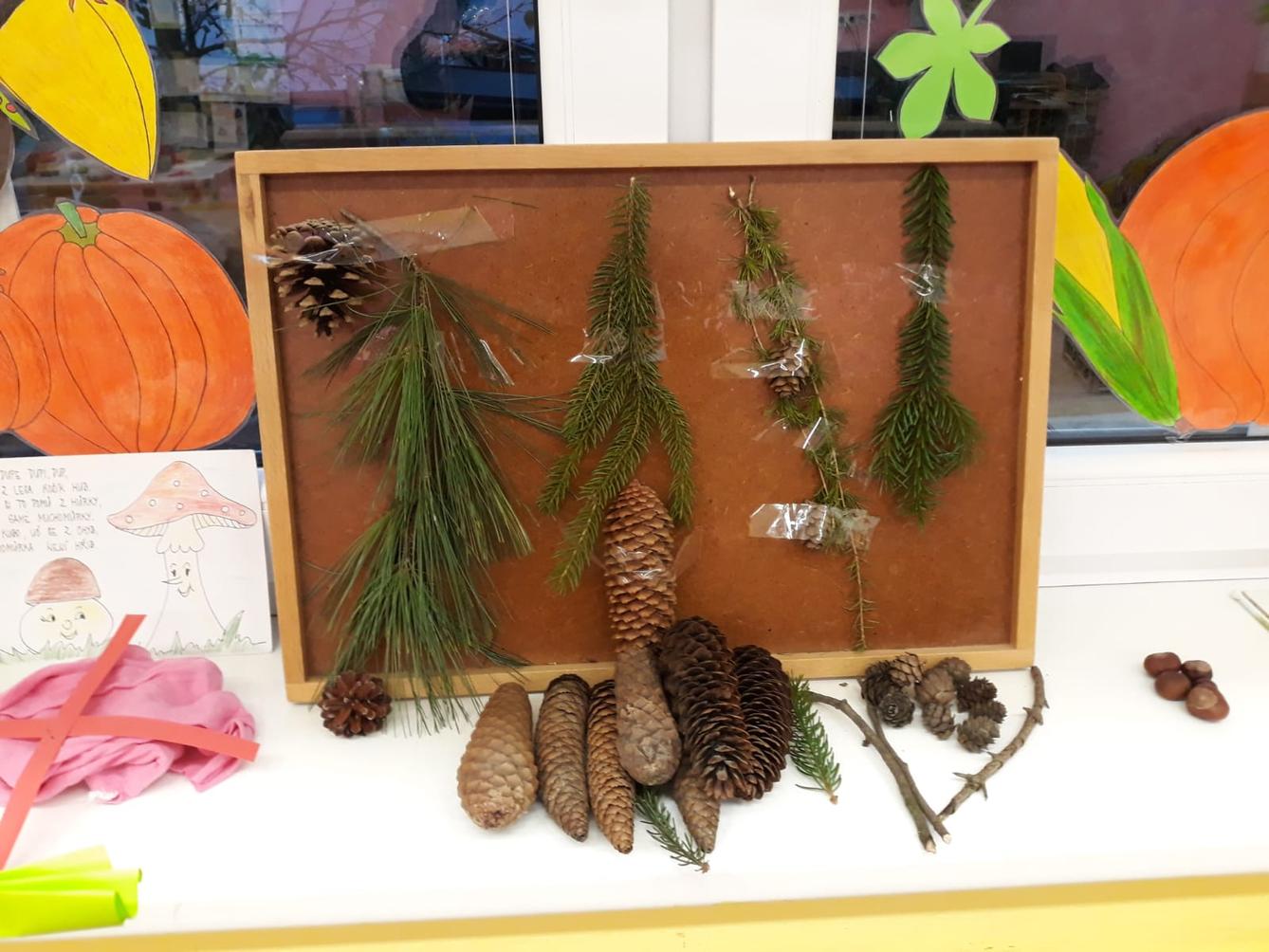 "Barevný svět kolem nás II." - podzimní dny v MŠ :-) - 2