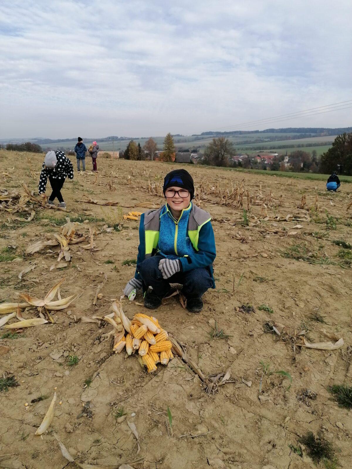 Netradiční hodiny TV - 7