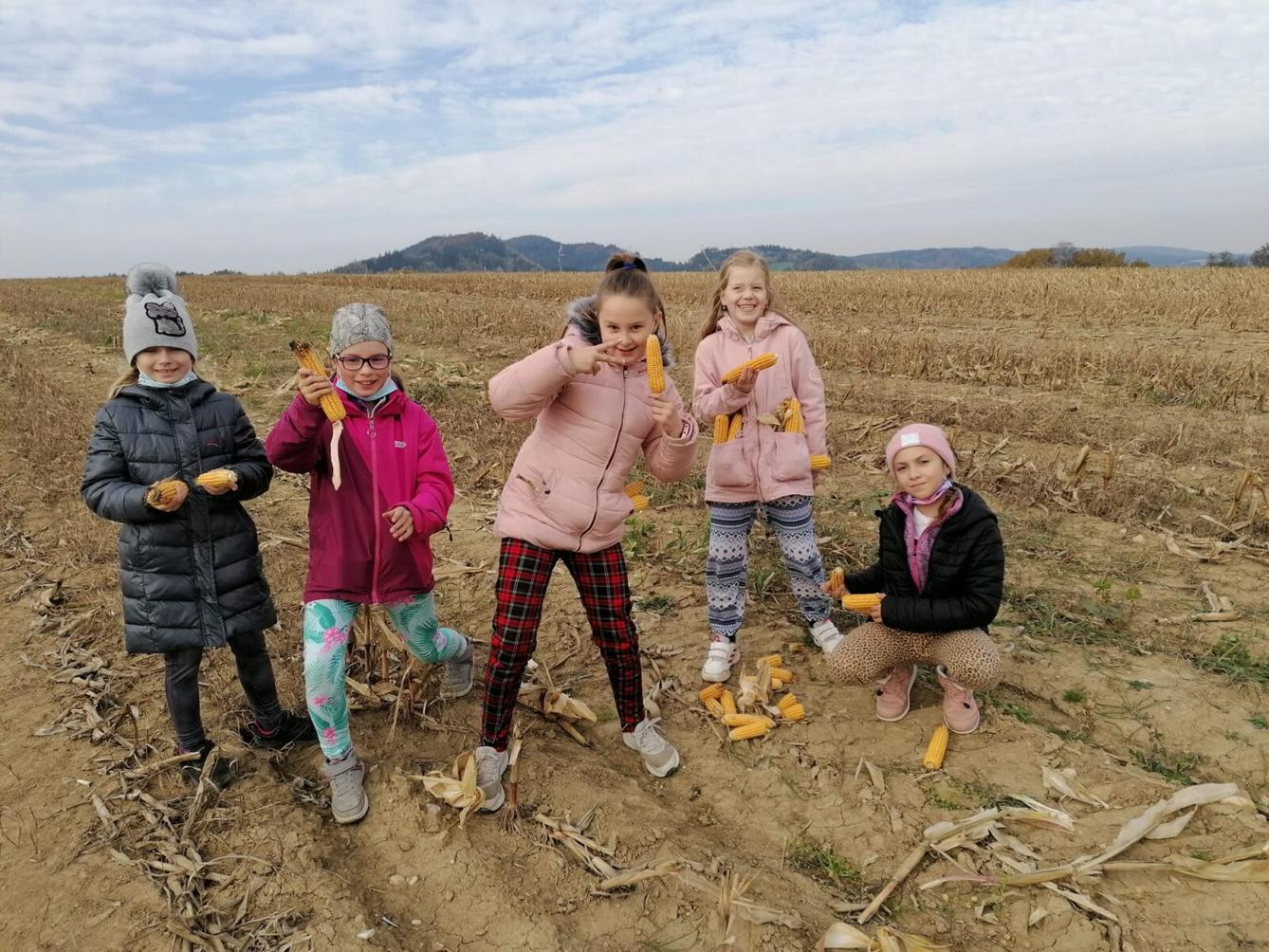 Netradiční hodiny TV - 12