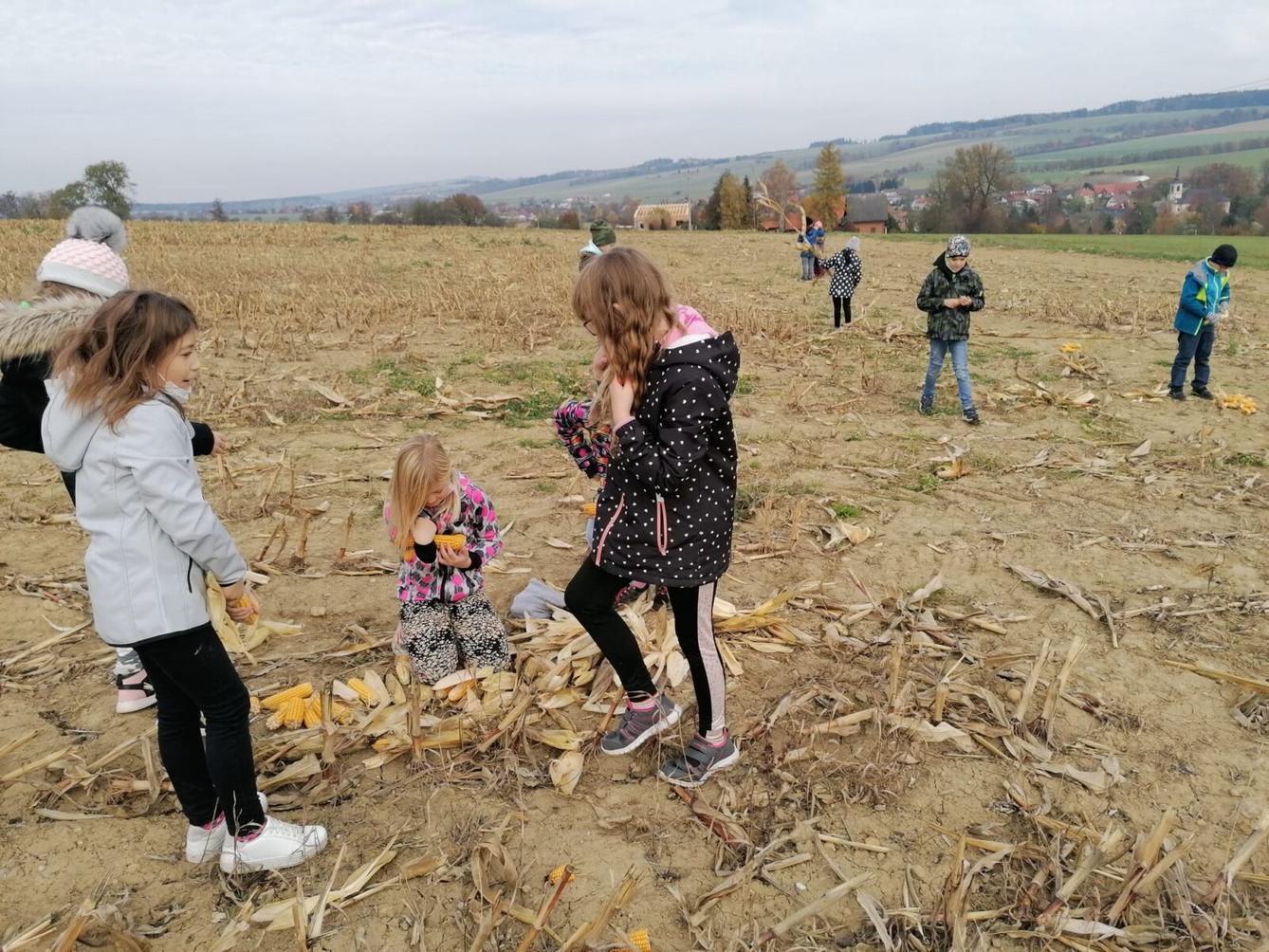 Netradiční hodiny TV - 13