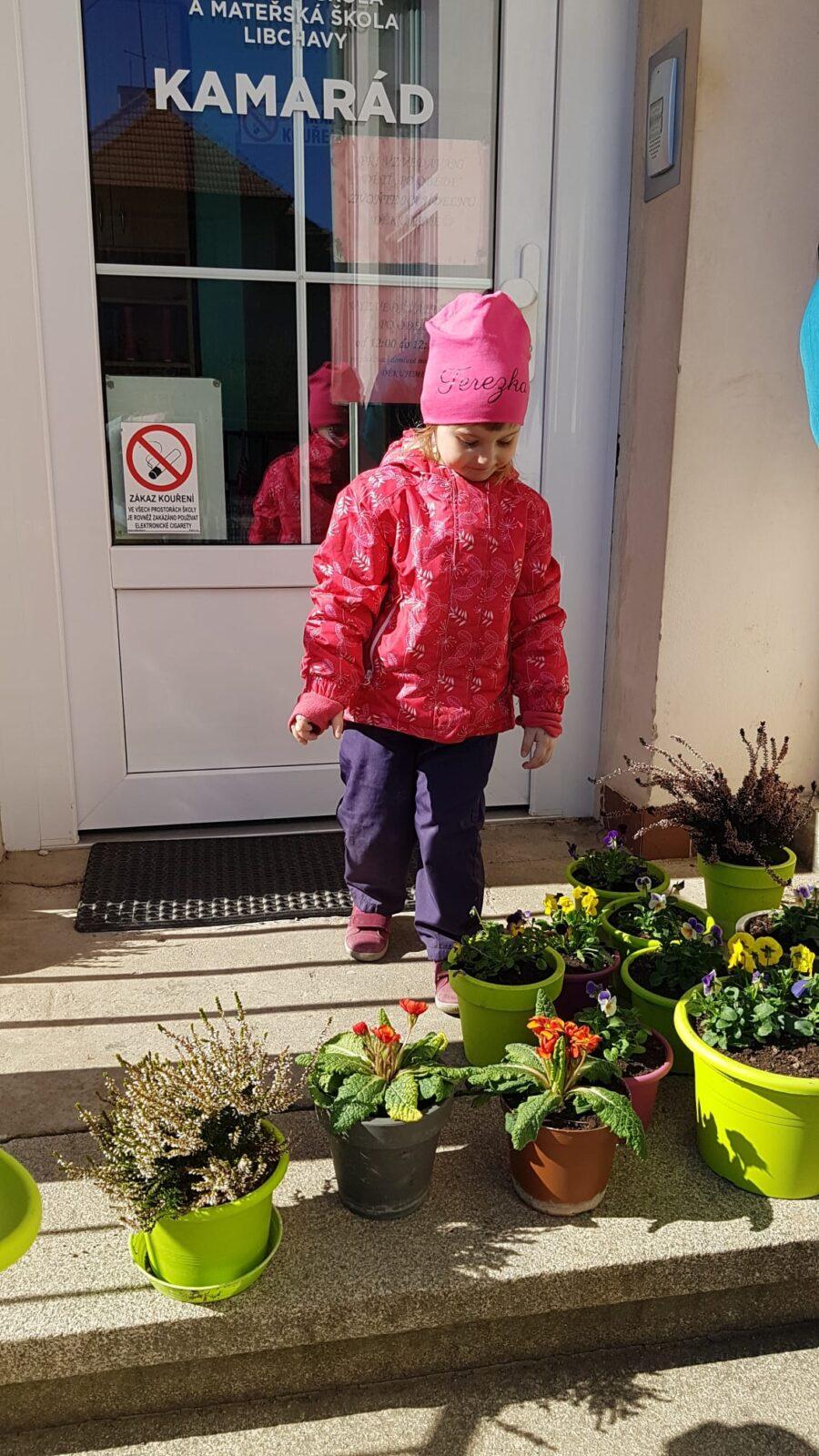 "Sázíme kytičky" :-) - 13