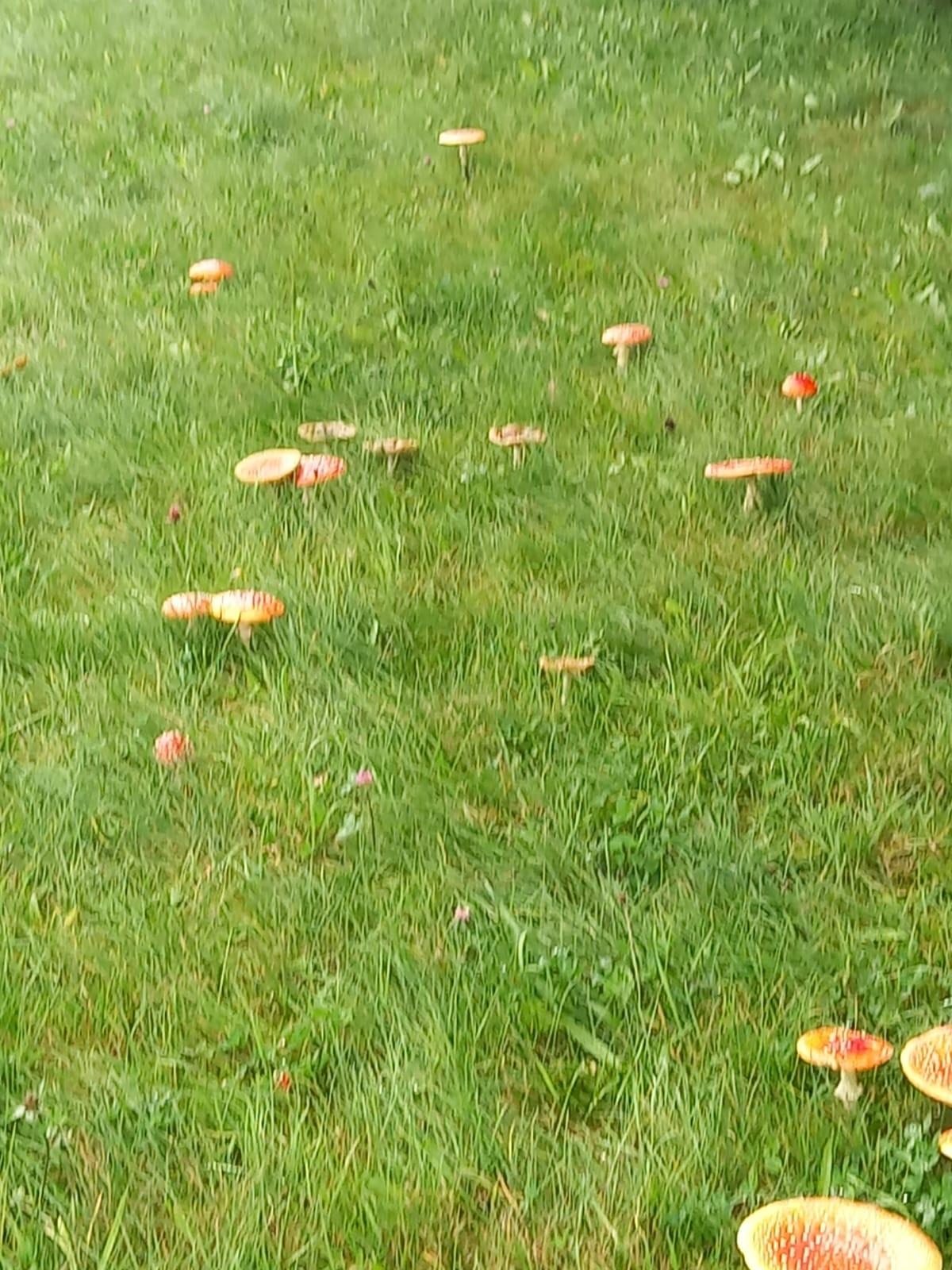 Broučci a jejich vycházky :-) - 2