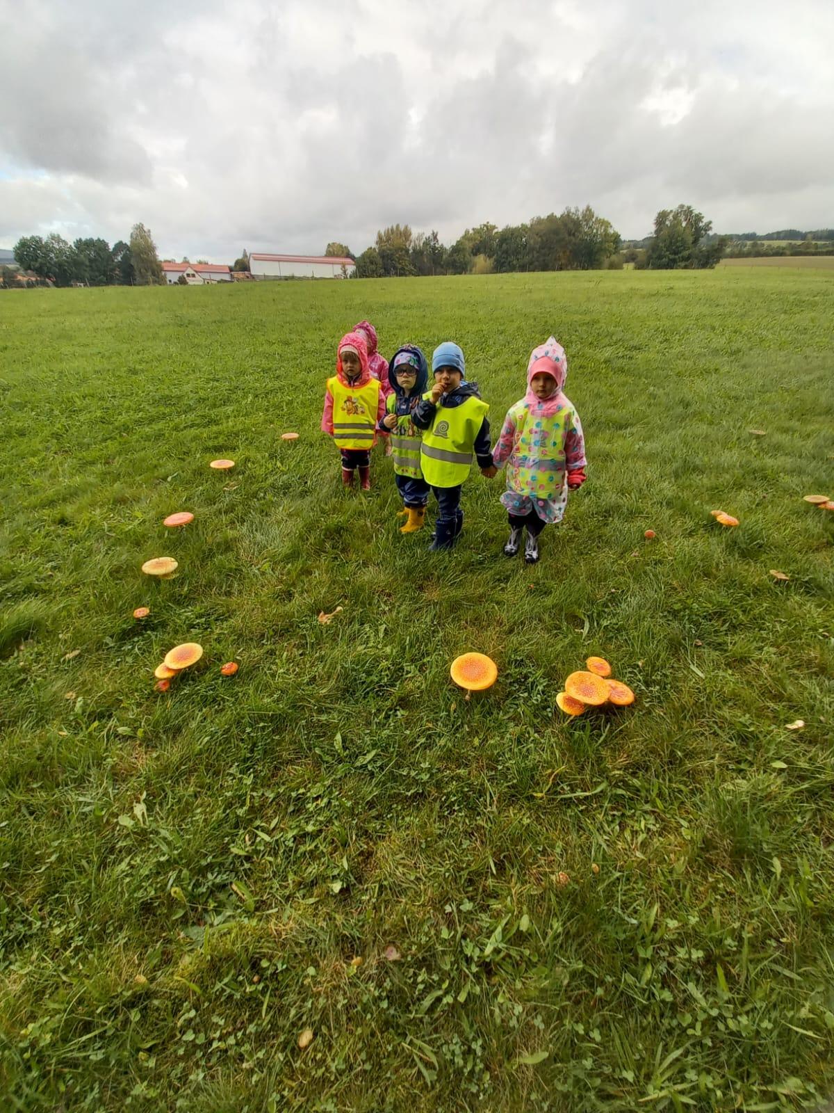 Broučci a jejich vycházky :-) - 3