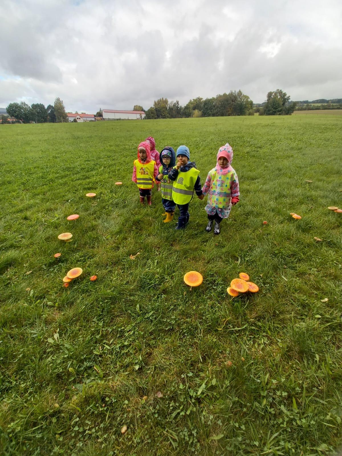 Broučci a jejich vycházky :-) - 4