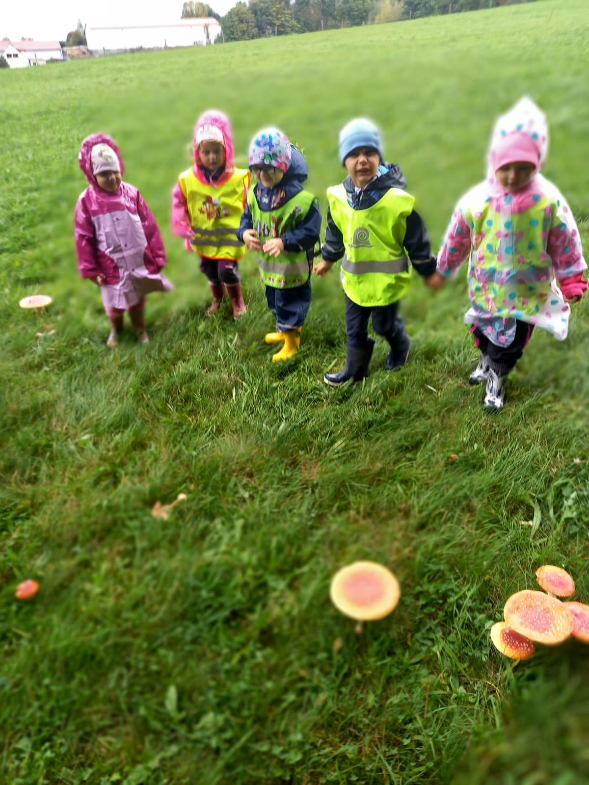 Broučci a jejich vycházky :-) - 6