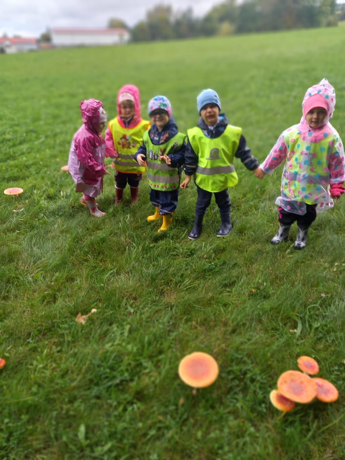 Broučci a jejich vycházky :-) - 7