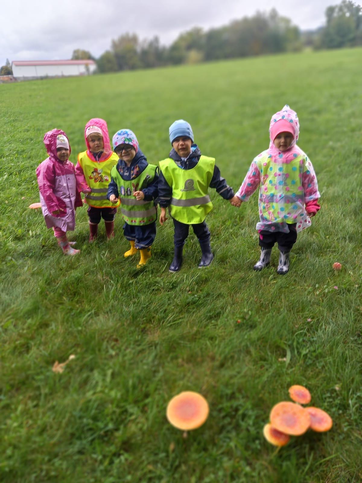 Broučci a jejich vycházky :-) - 8