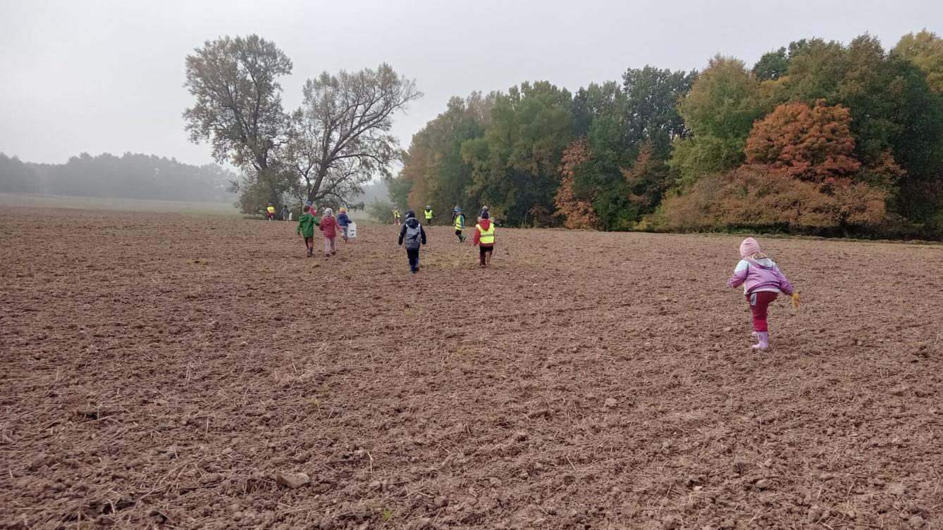 Podzim v naší školce - 48