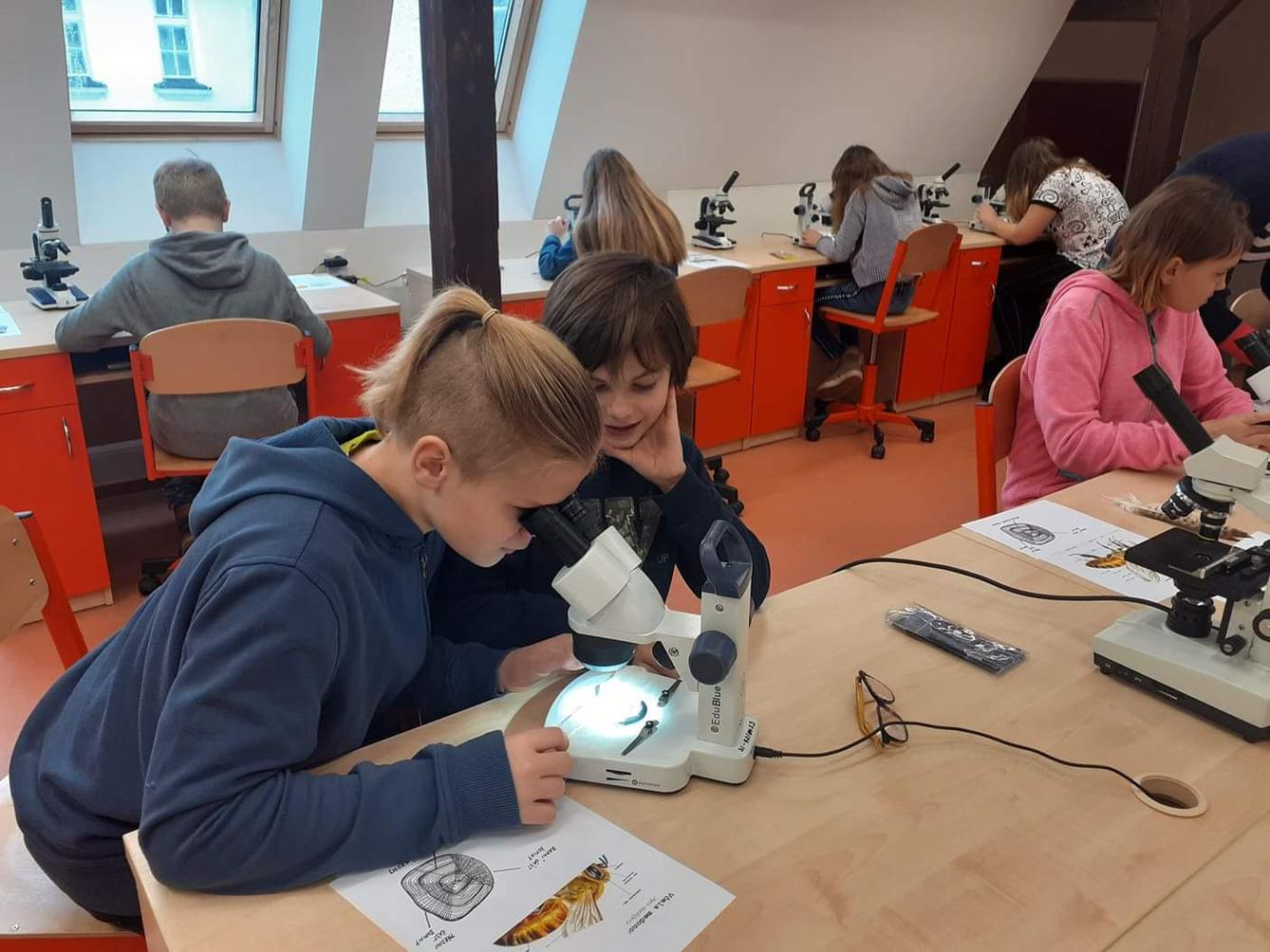 Základy mikroskopování - šesté třídy - 2