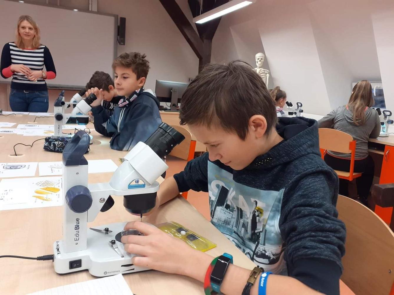 Základy mikroskopování - šesté třídy - 4