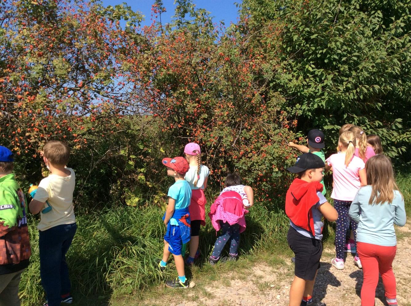 Vítáme naše prvňáčky a všechny děti ve družince*** - 10