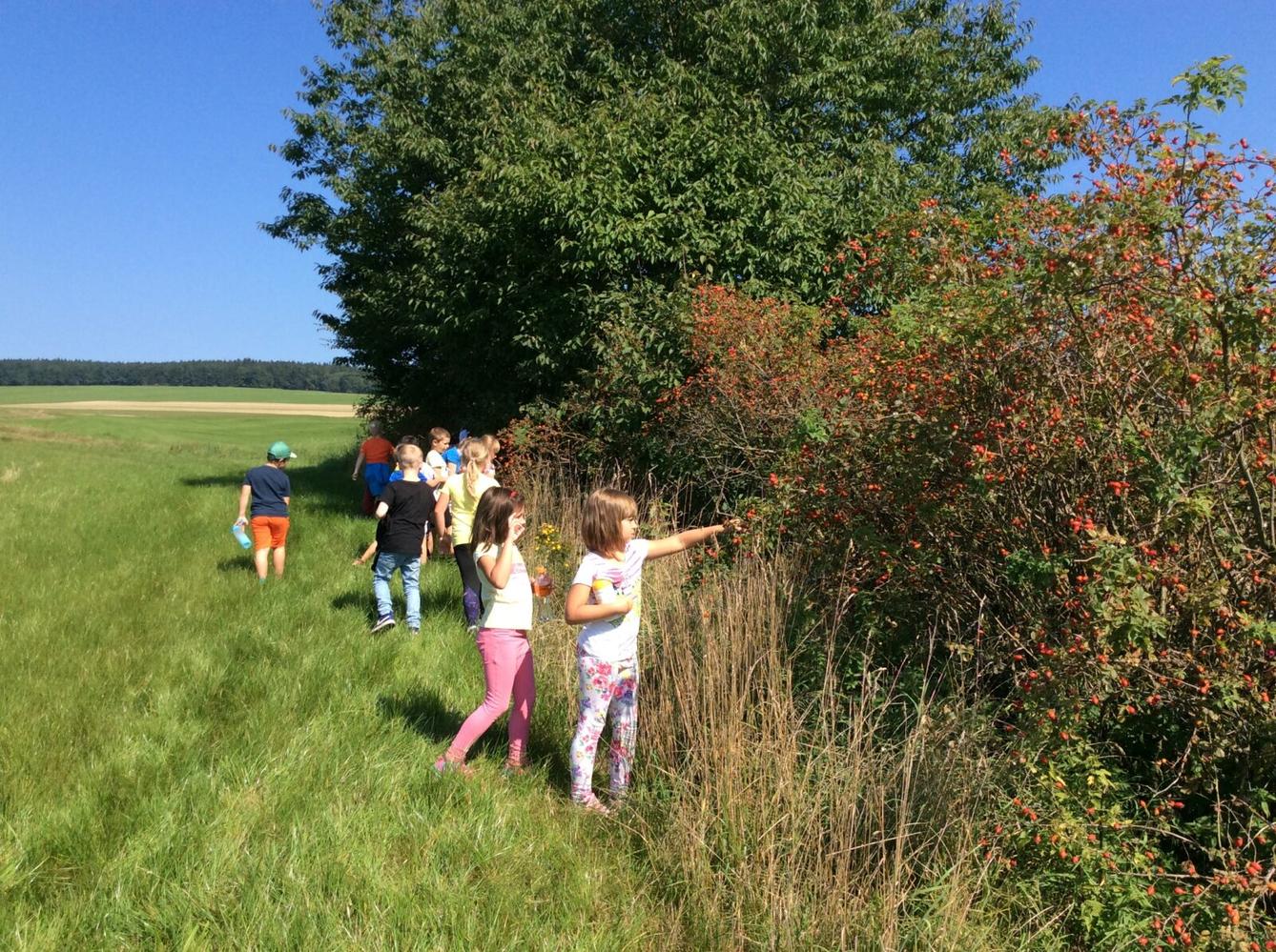 Vítáme naše prvňáčky a všechny děti ve družince*** - 12