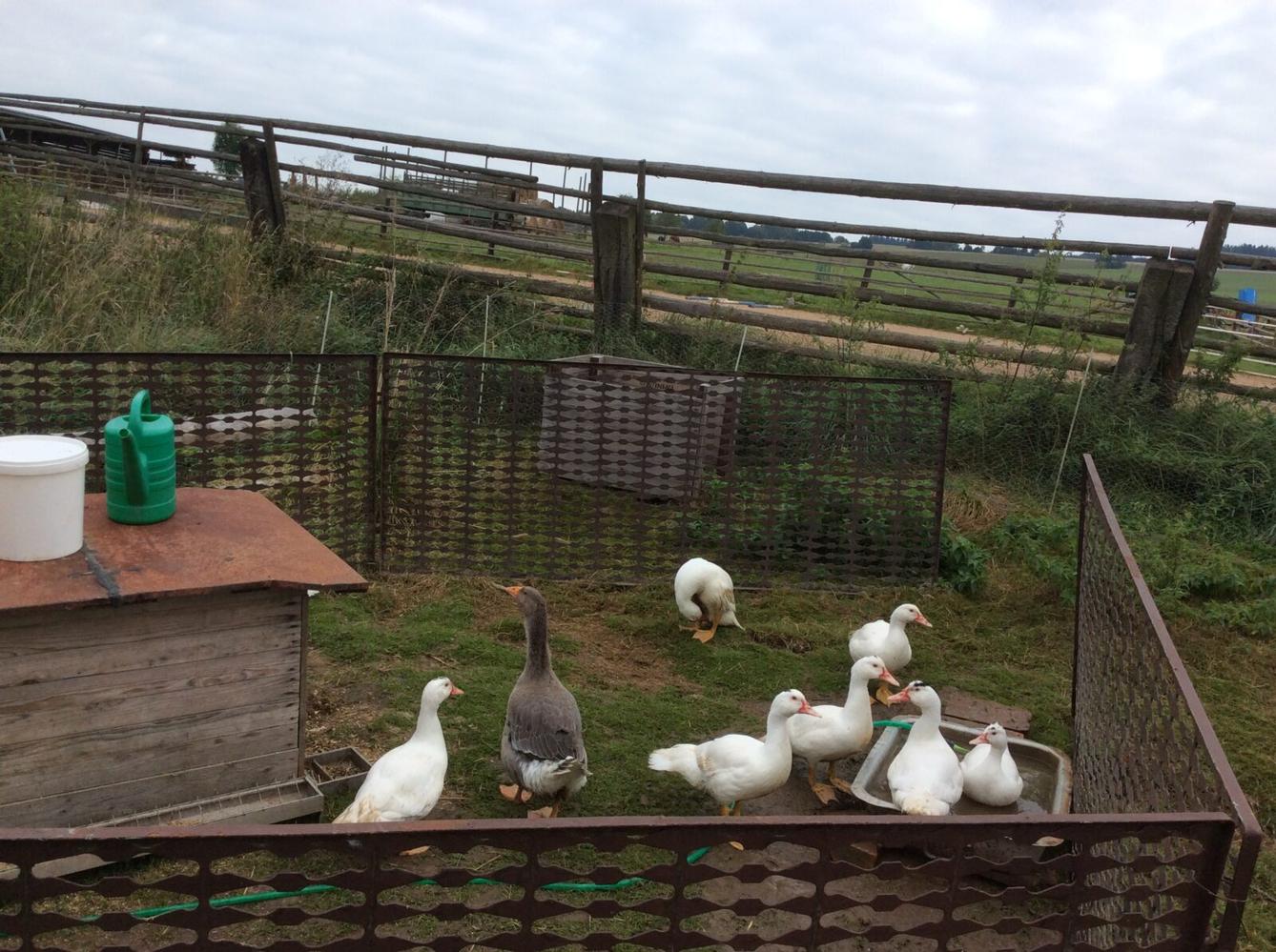 Turistický kroužek - TLAPKY - 5