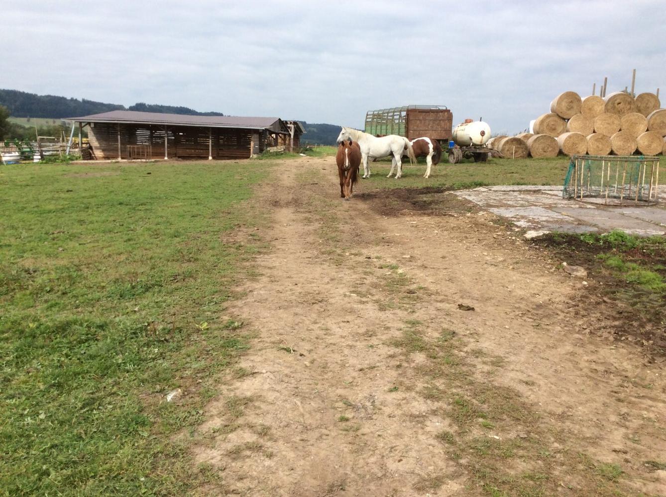 Turistický kroužek - TLAPKY - 18