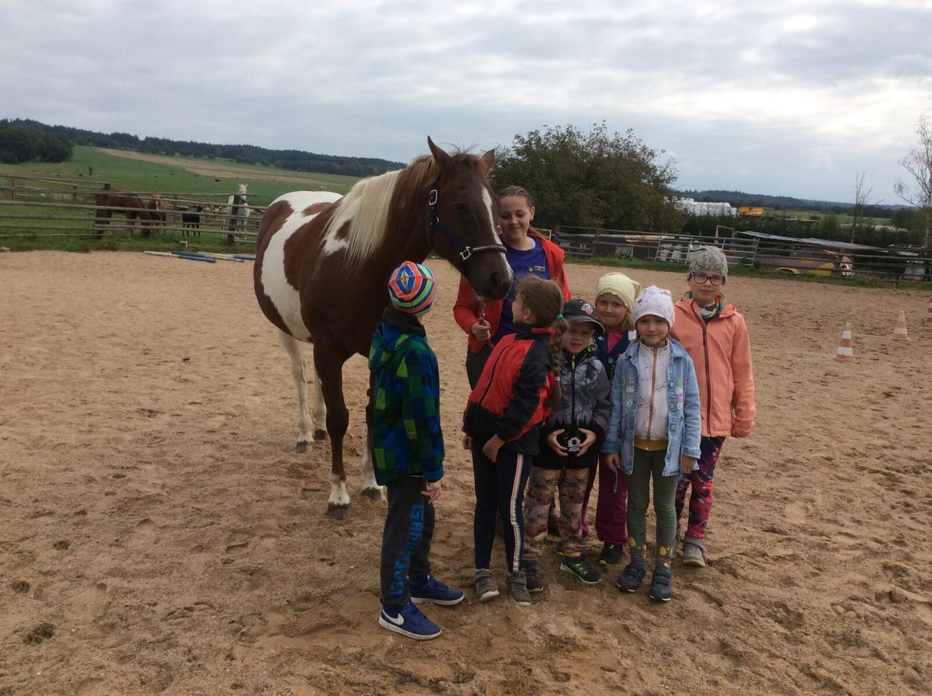 Turistický kroužek - TLAPKY - 25