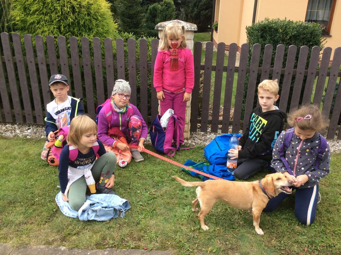 Turistický kroužek - TLAPKY - 28