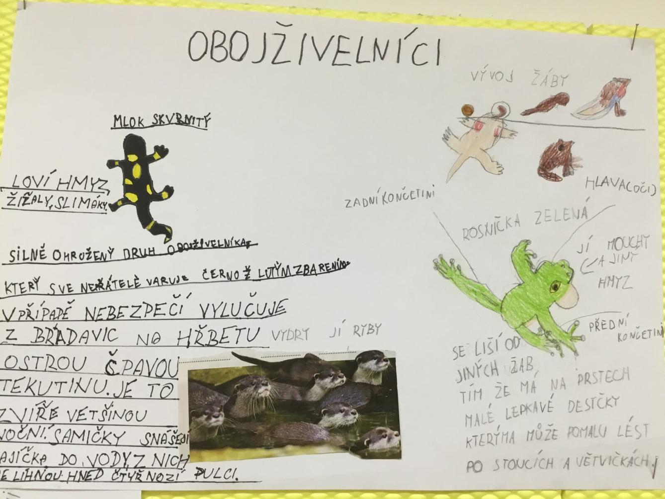 Skupinové aktivity a tandemové tvoření ve třetí třídě 7. 5. - 7