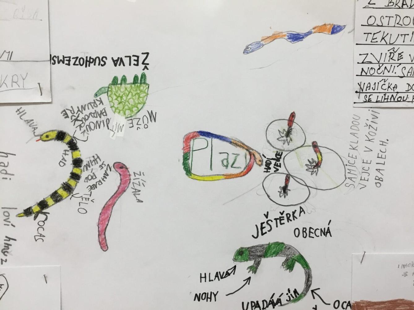 Skupinové aktivity a tandemové tvoření ve třetí třídě 7. 5. - 8