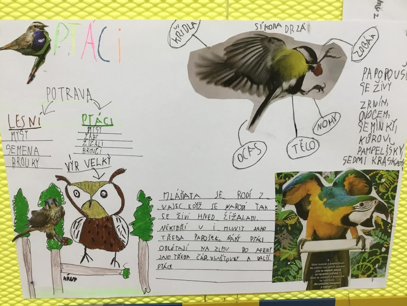 Skupinové aktivity a tandemové tvoření ve třetí třídě 7. 5. - 9