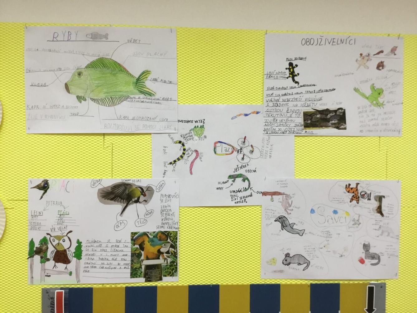 Skupinové aktivity a tandemové tvoření ve třetí třídě 7. 5. - 11