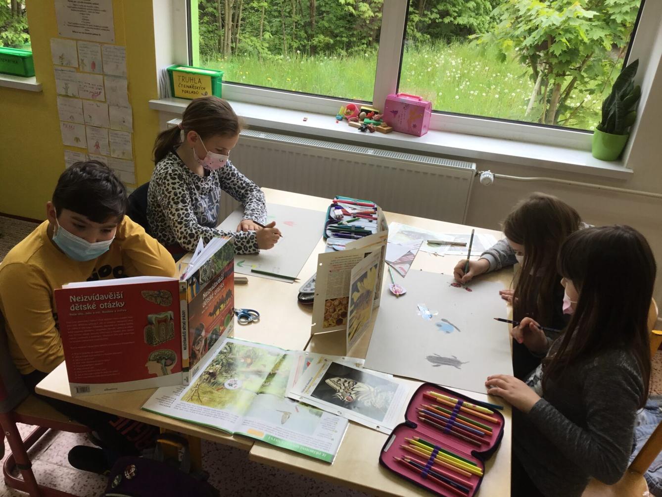 Skupinové projekty z prvouky ve třetí třídě 28. 5. - 2