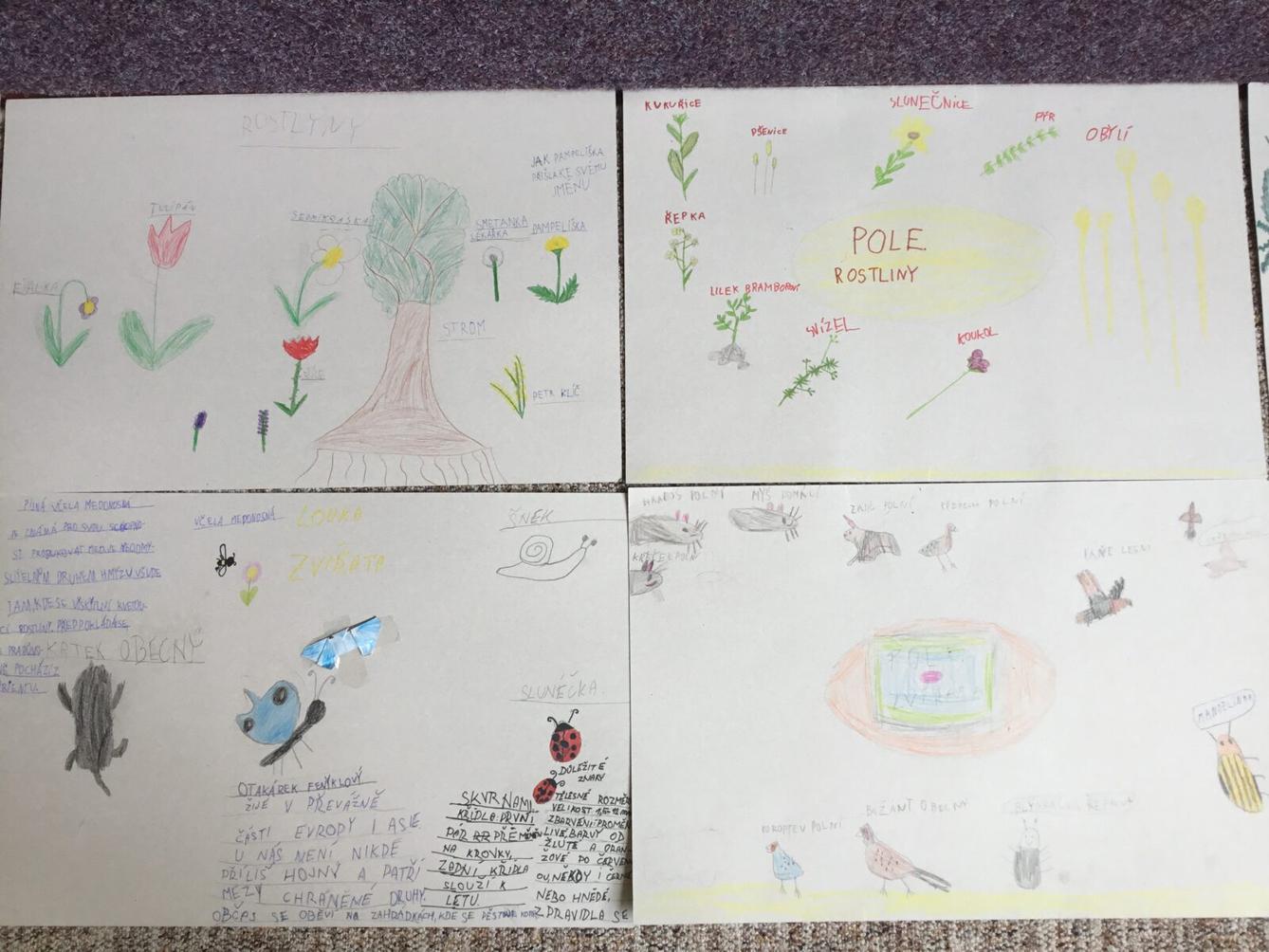 Skupinové projekty z prvouky ve třetí třídě 28. 5. - 7