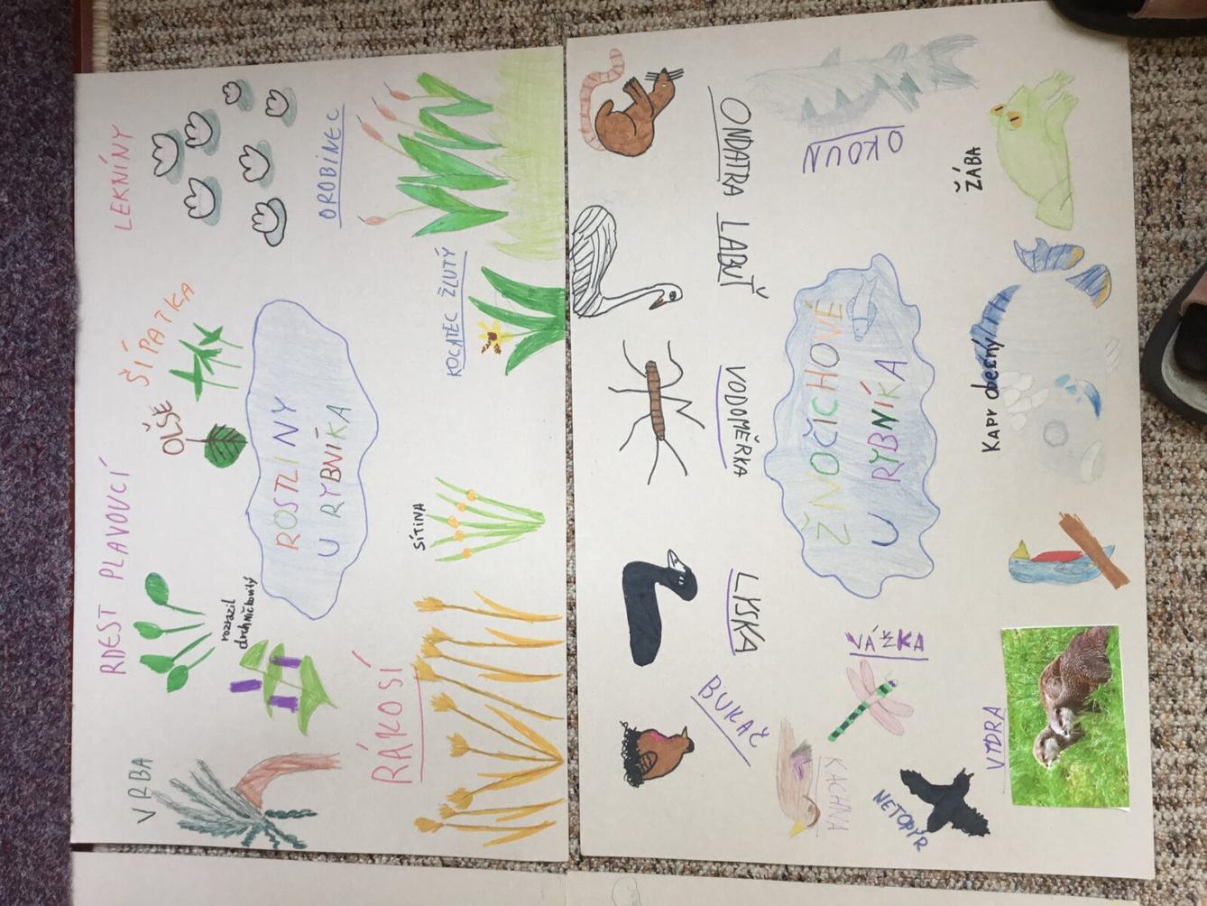 Skupinové projekty z prvouky ve třetí třídě 28. 5. - 8