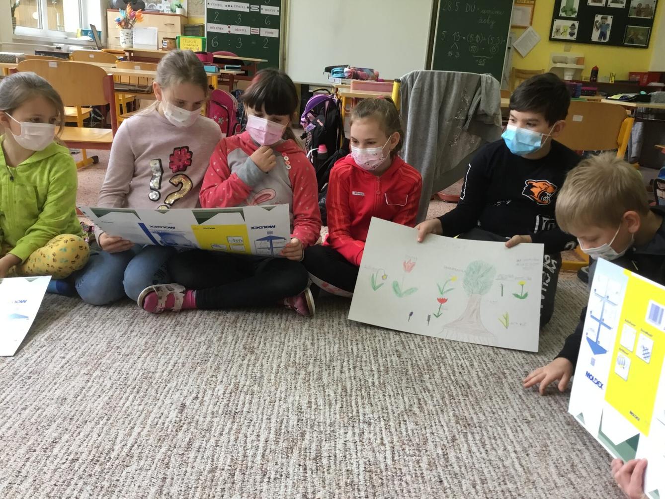 Skupinové projekty z prvouky ve třetí třídě 28. 5. - 13