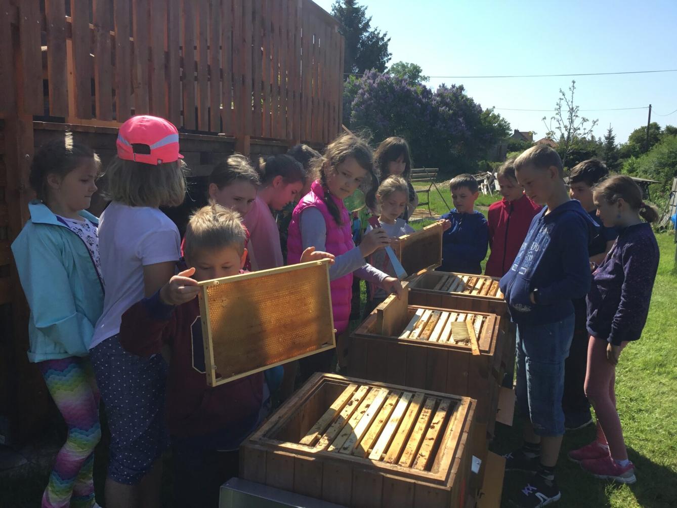 Dětský den a projektový "Den se včelami" ve třetí třídě - 22