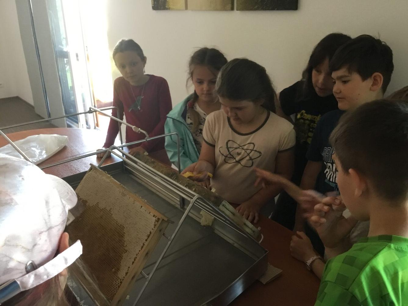 Dětský den a projektový "Den se včelami" ve třetí třídě - 38