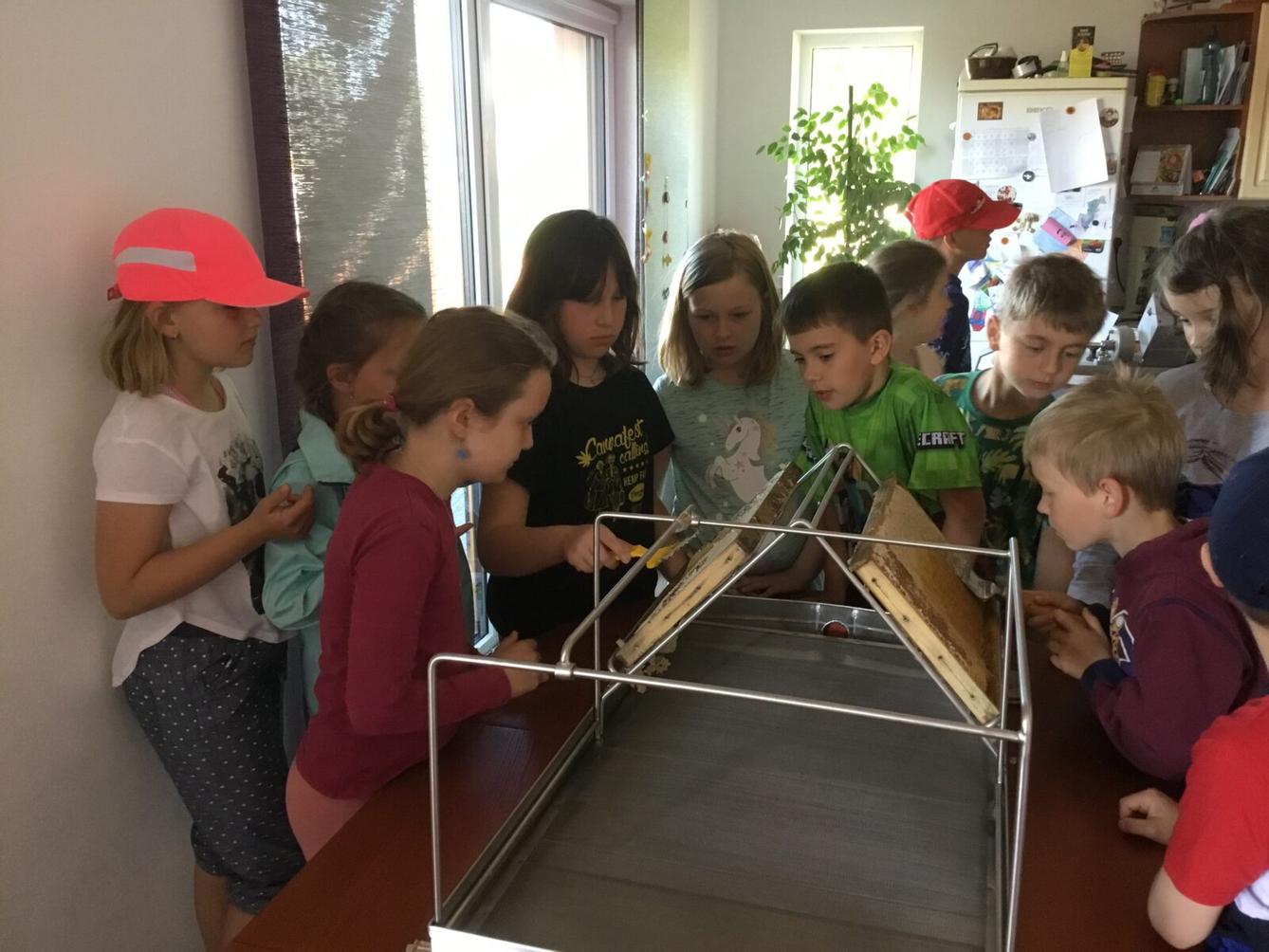 Dětský den a projektový "Den se včelami" ve třetí třídě - 39